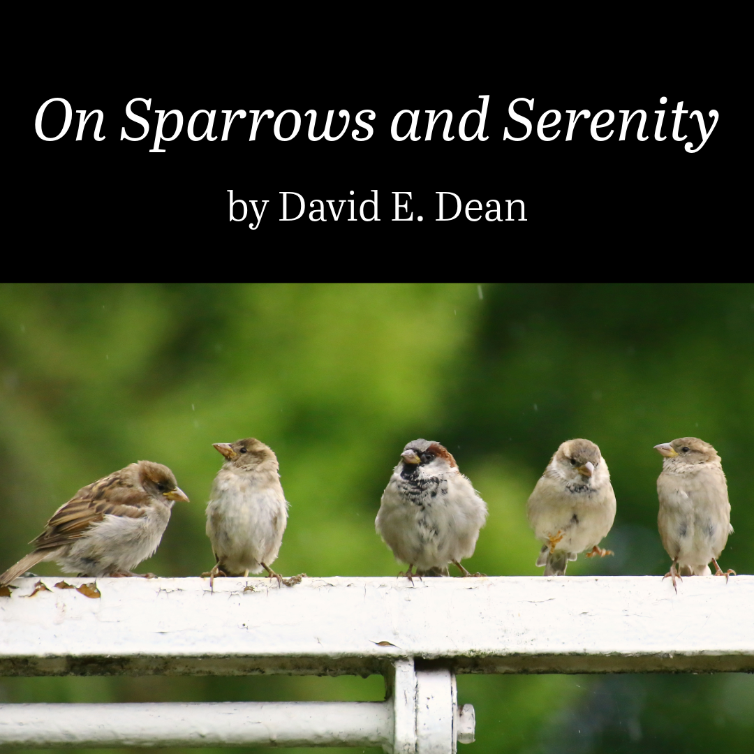 On Sparrows and Serenity