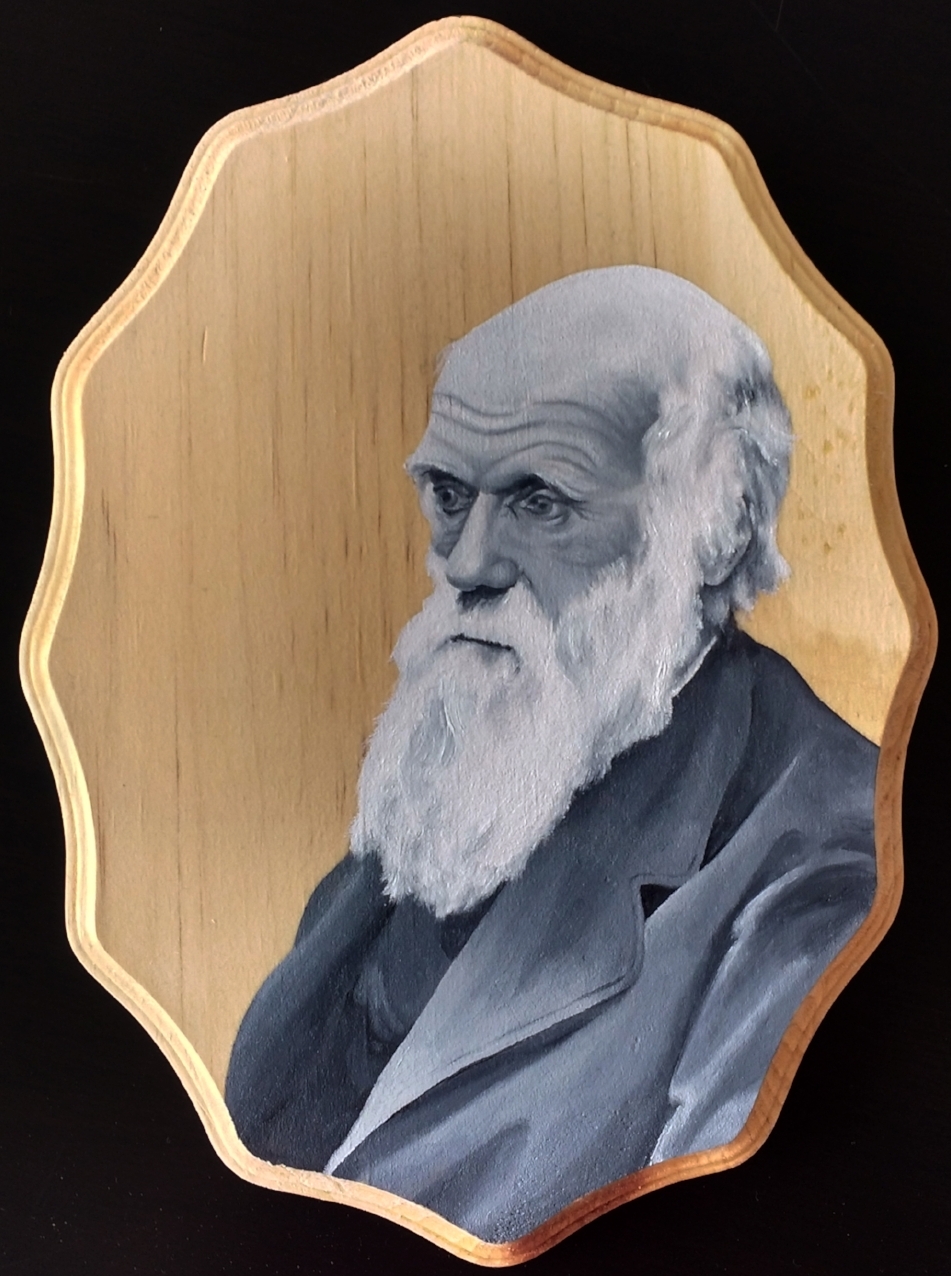 Darwin