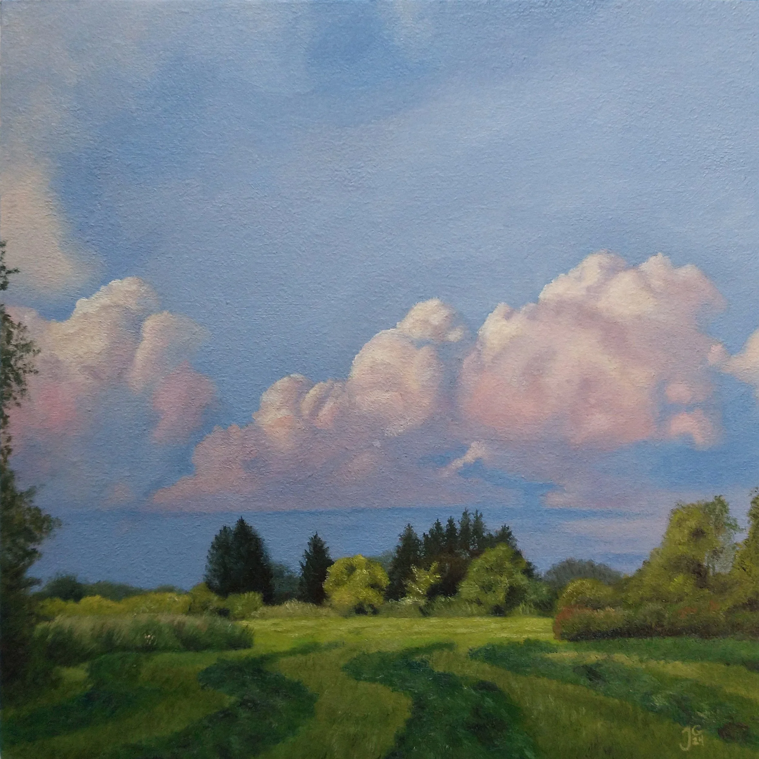 Summer Meadow