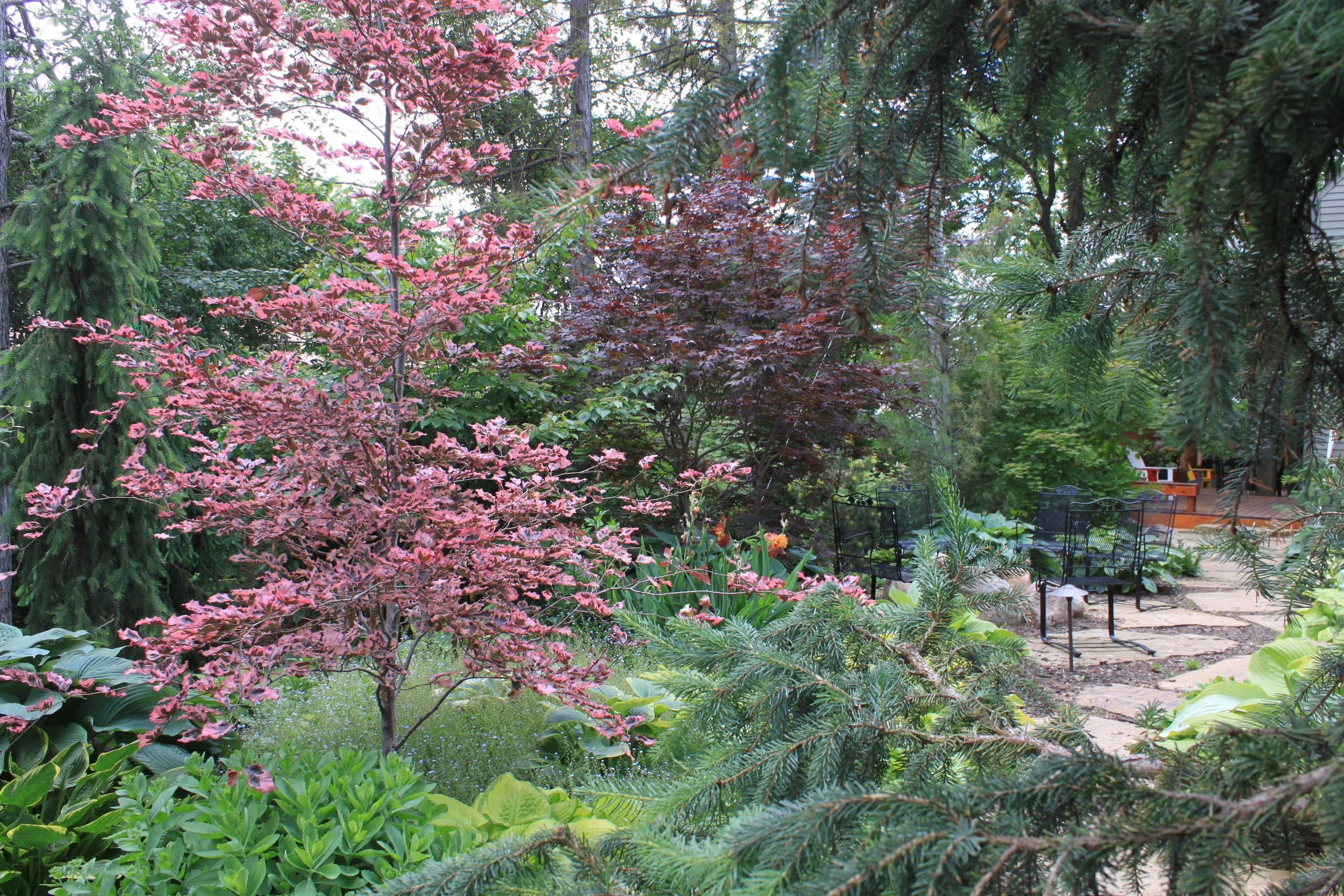 Landscaping in Omaha