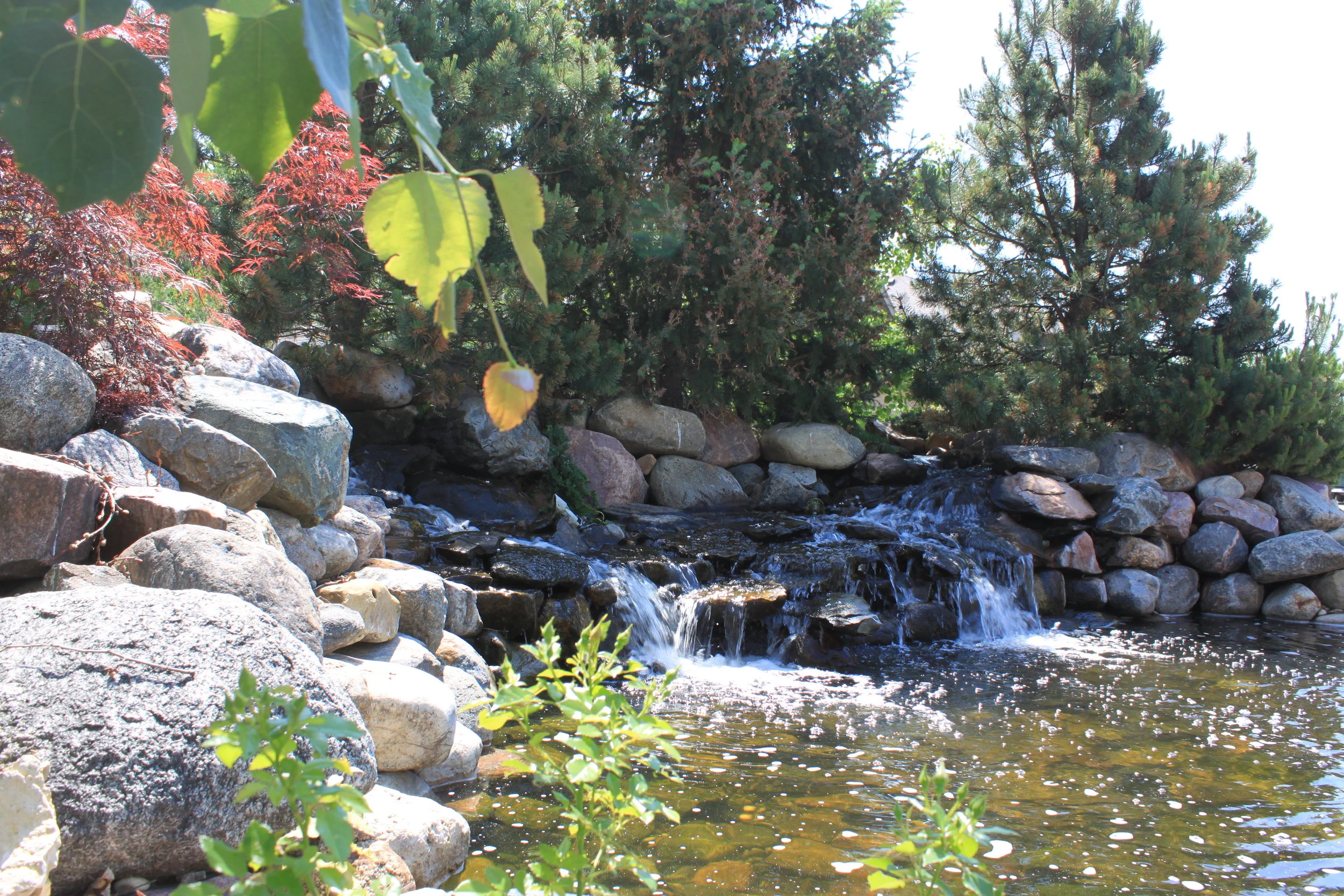 Quality Landscaping in Omaha