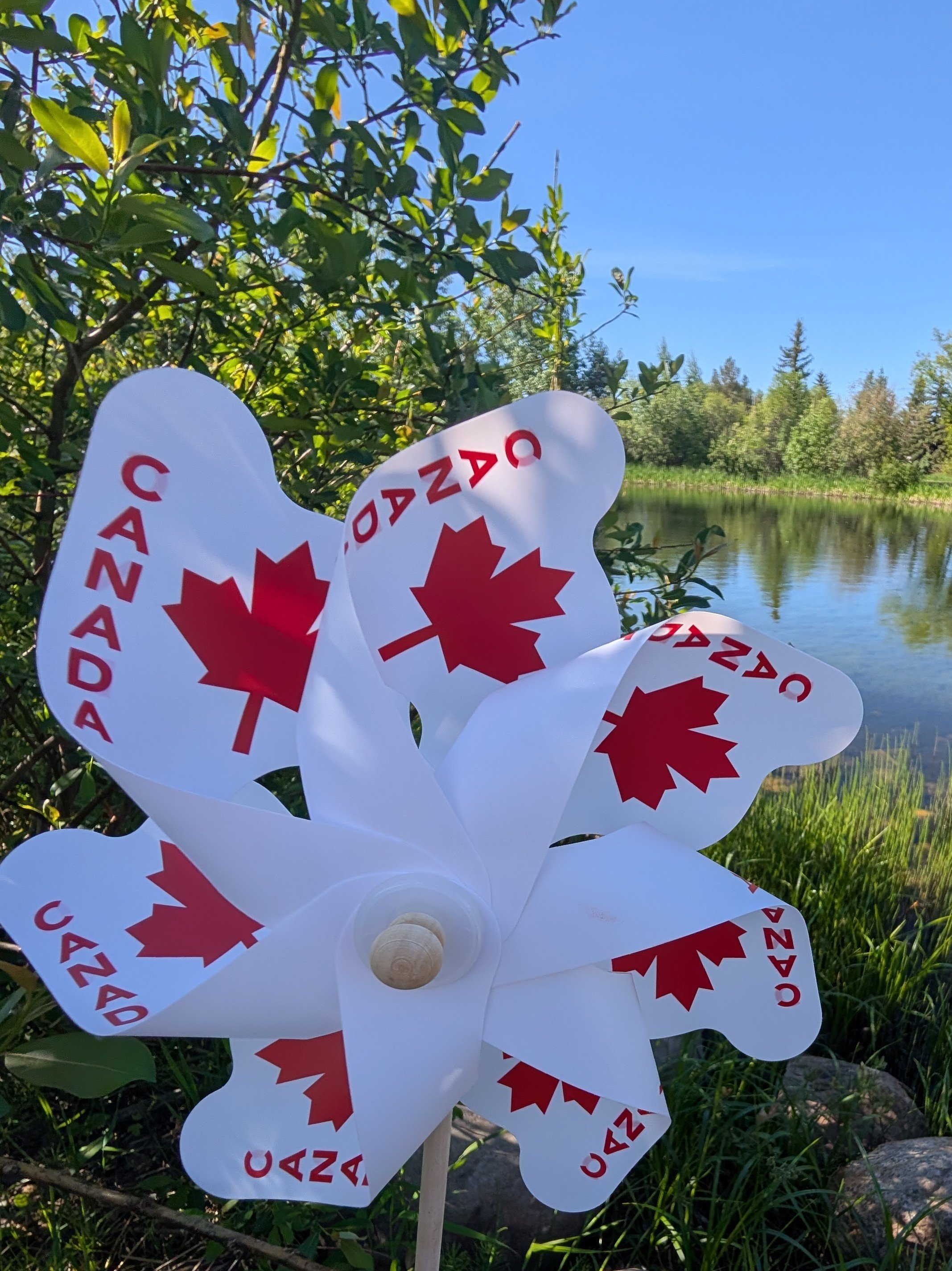 Vote for Canada