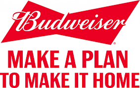 Bud Make a Plan.png