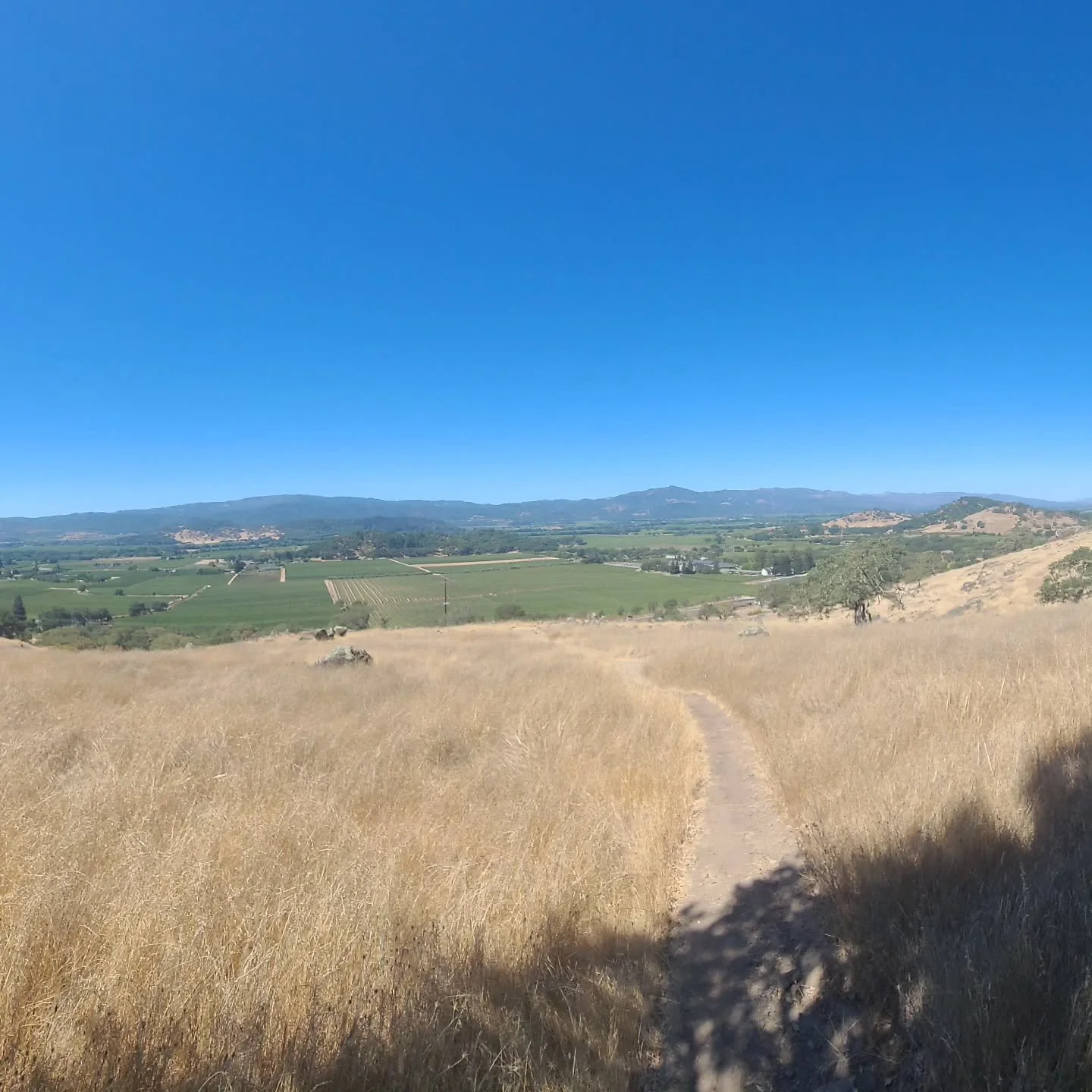 Getting some: elevation, cardio, and a motorcycle ride.