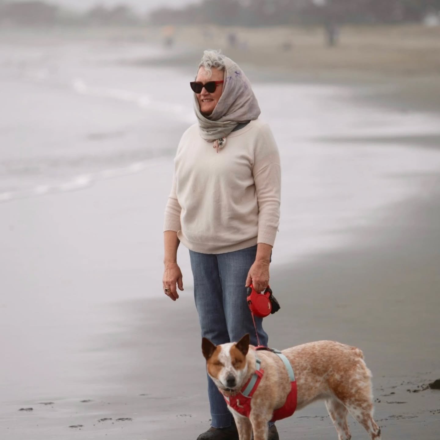 Julie, Jackson and Pixie at the beach.  Photo credit for @jonbarberphoto !