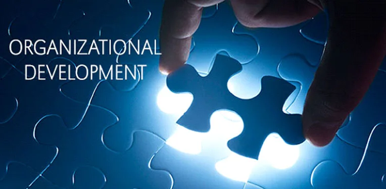 Organization-Development.jpg