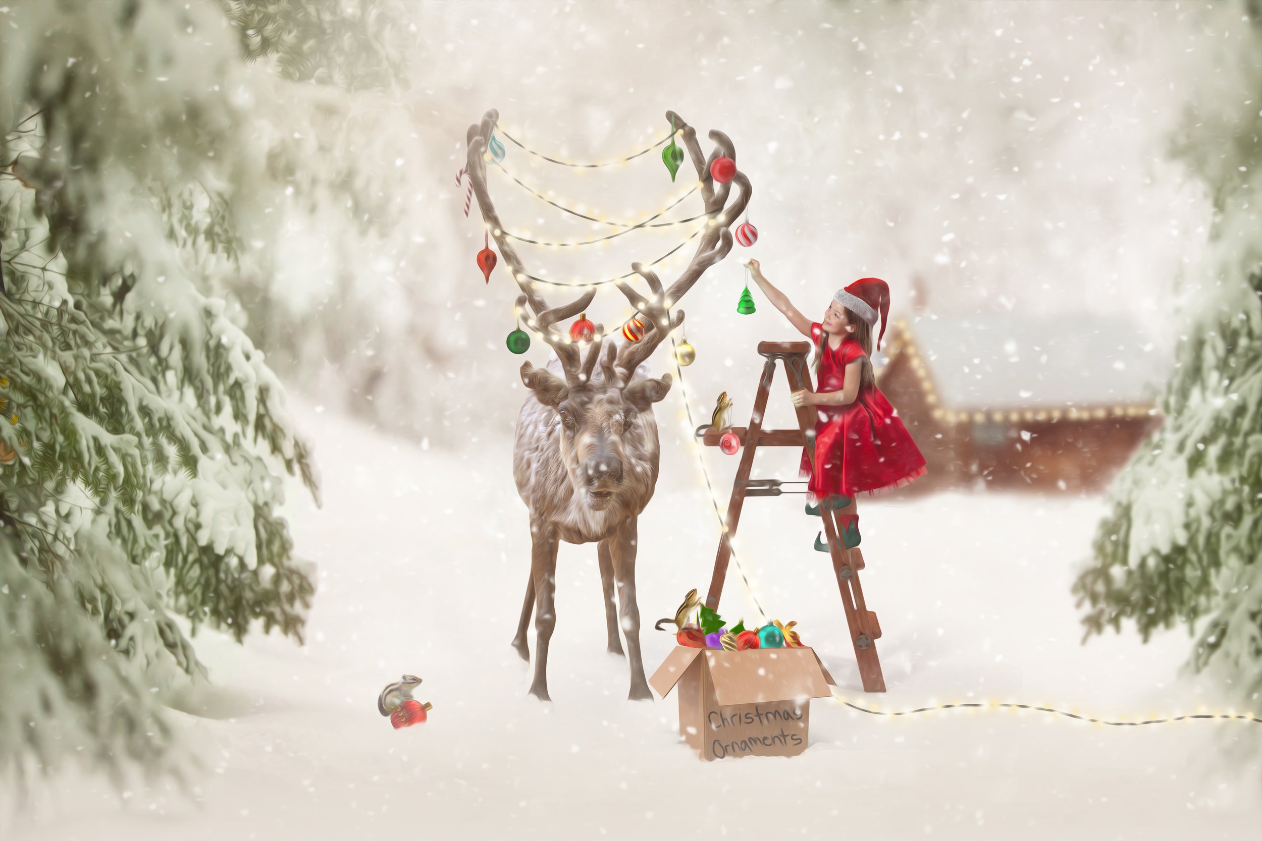 Christmas_reindeer.jpg