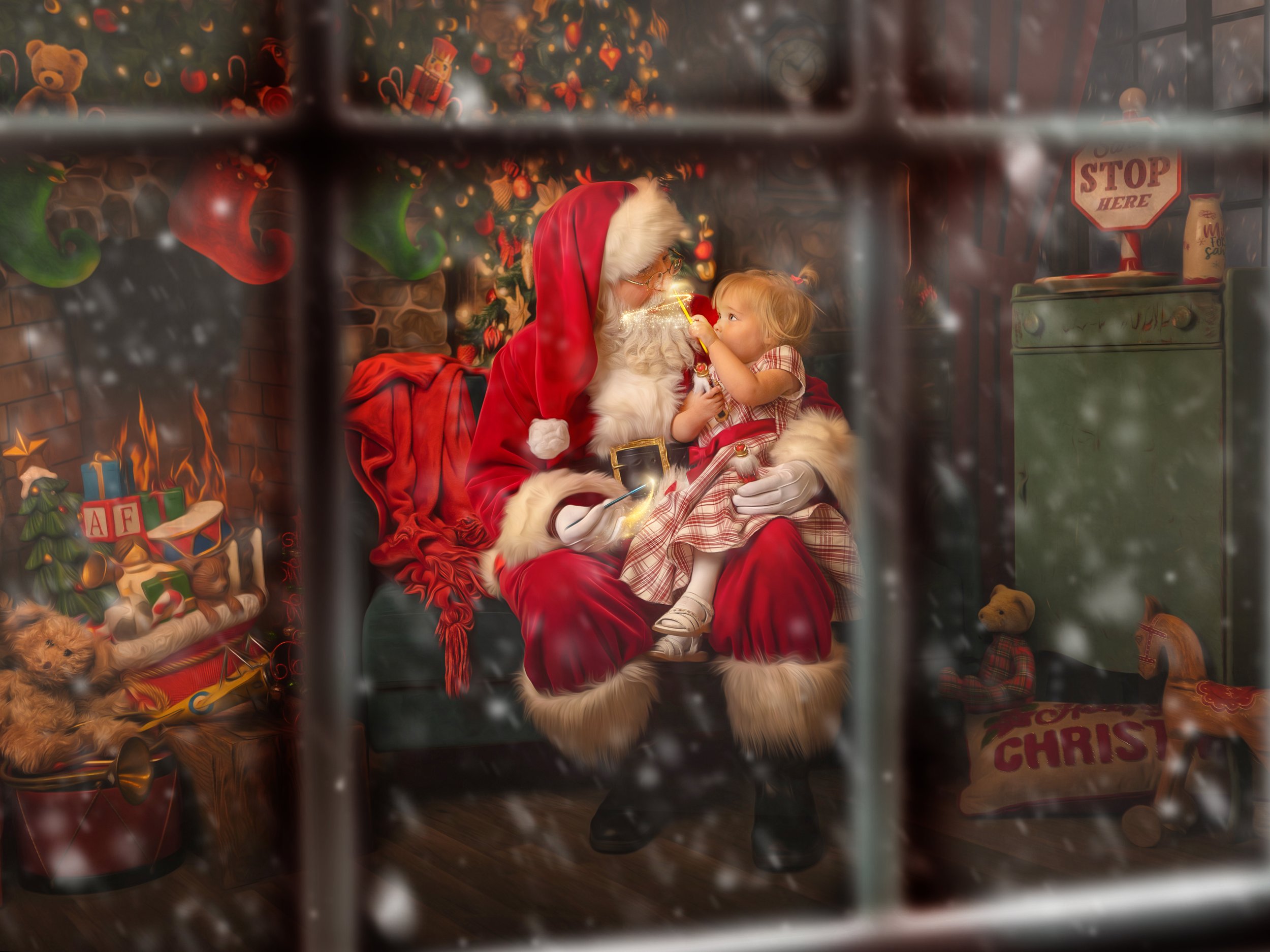gracie_Christmas_window.jpg