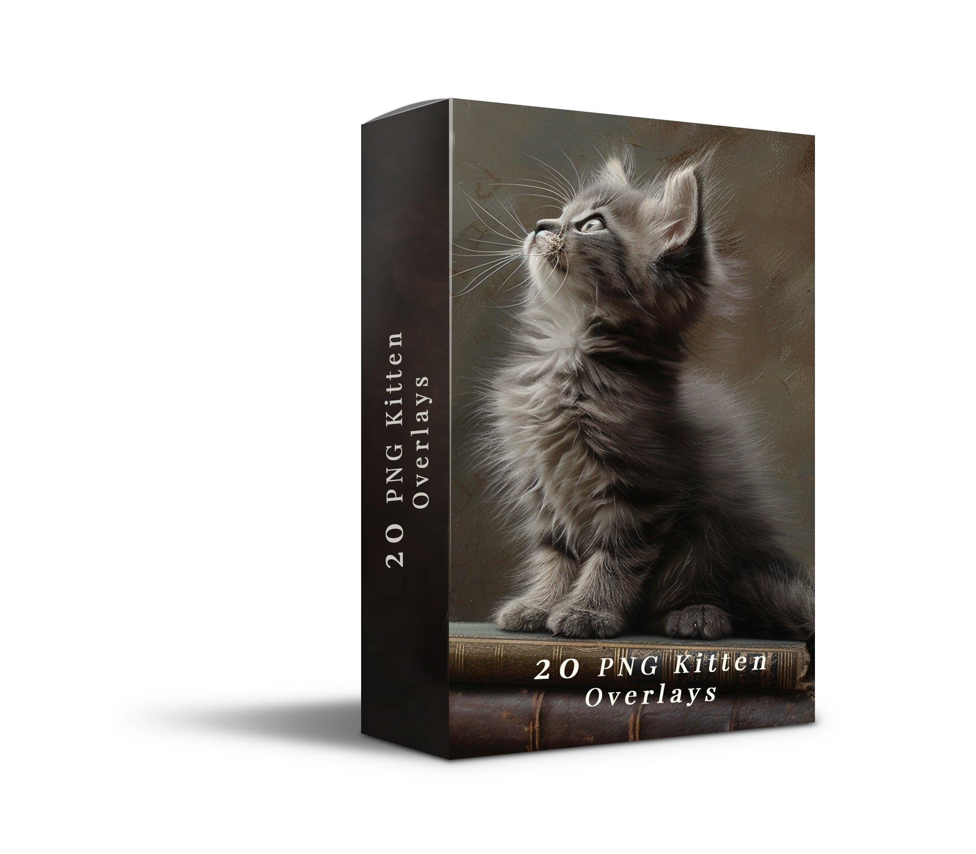 kittenbox.jpg