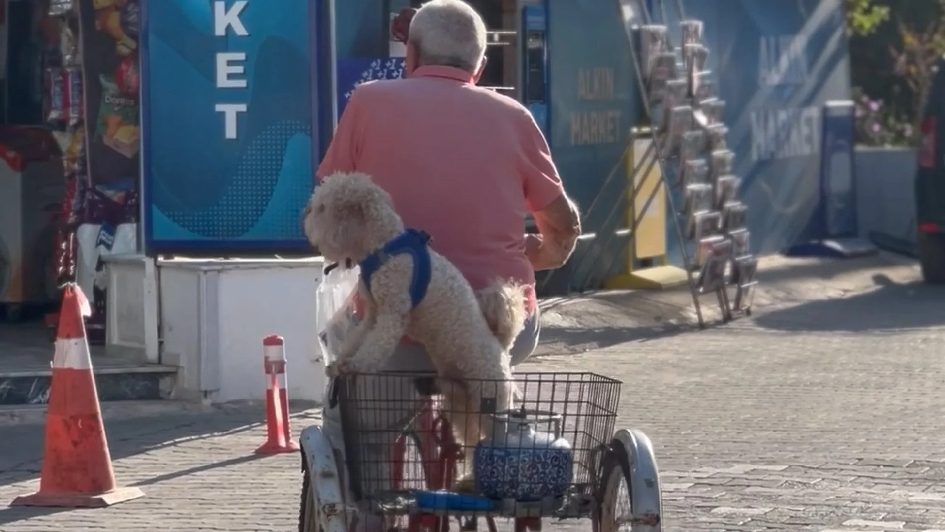 A Tricycle Built for Two-Thumbnail_1.21.1.jpg