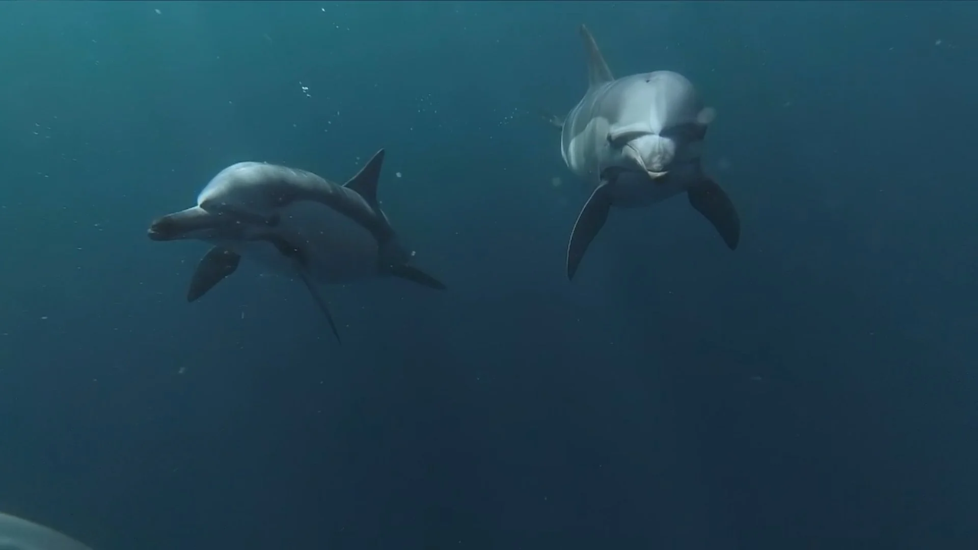 Almost Home-Thumbnail_1.7.1.jpg