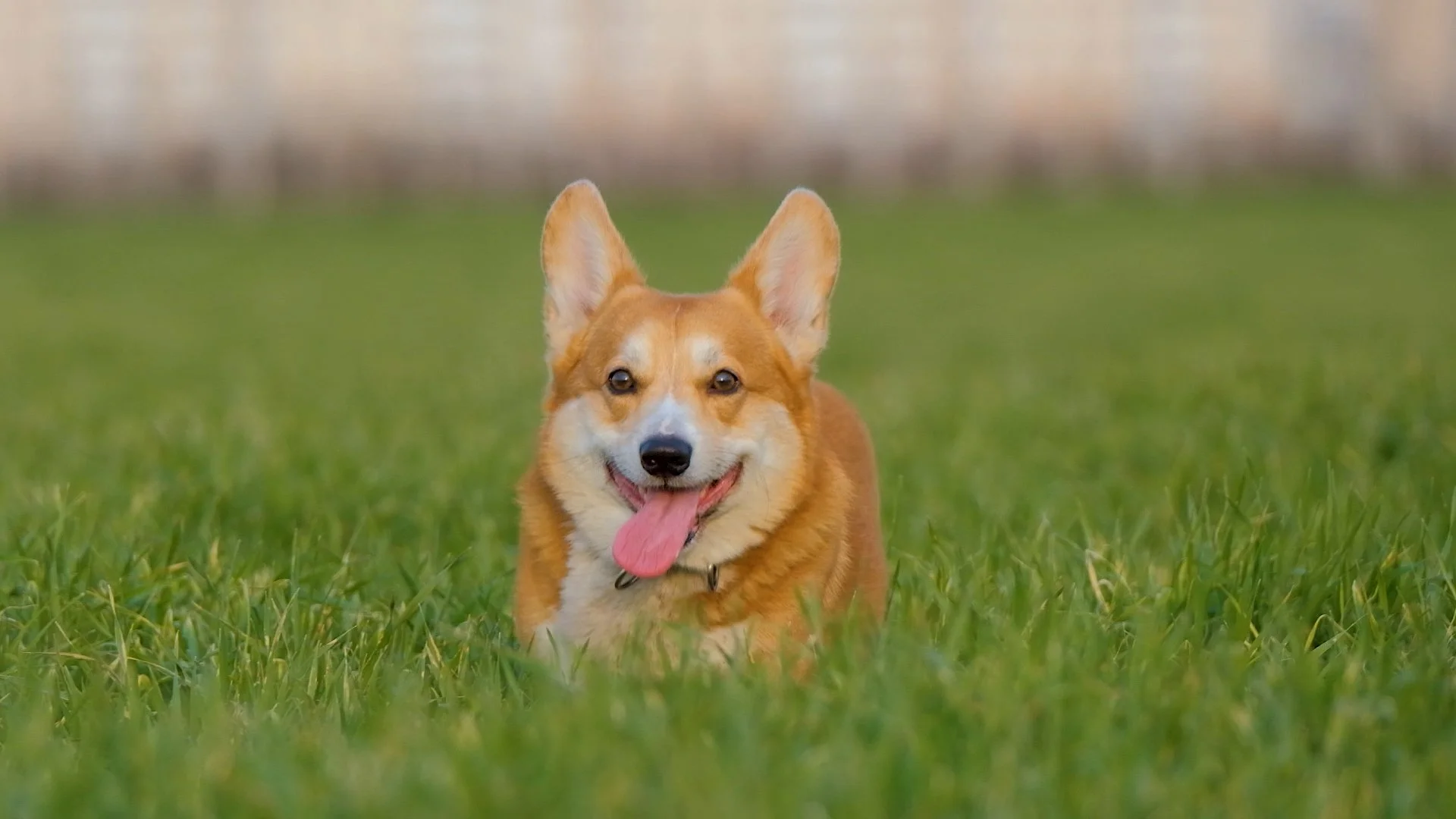 Slant Rhyme-Thumbnail_1.1.1.jpg