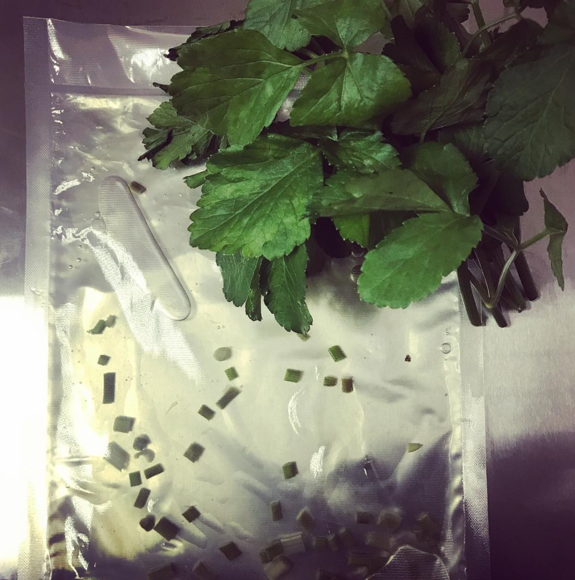 Alexanders vodka experiment 