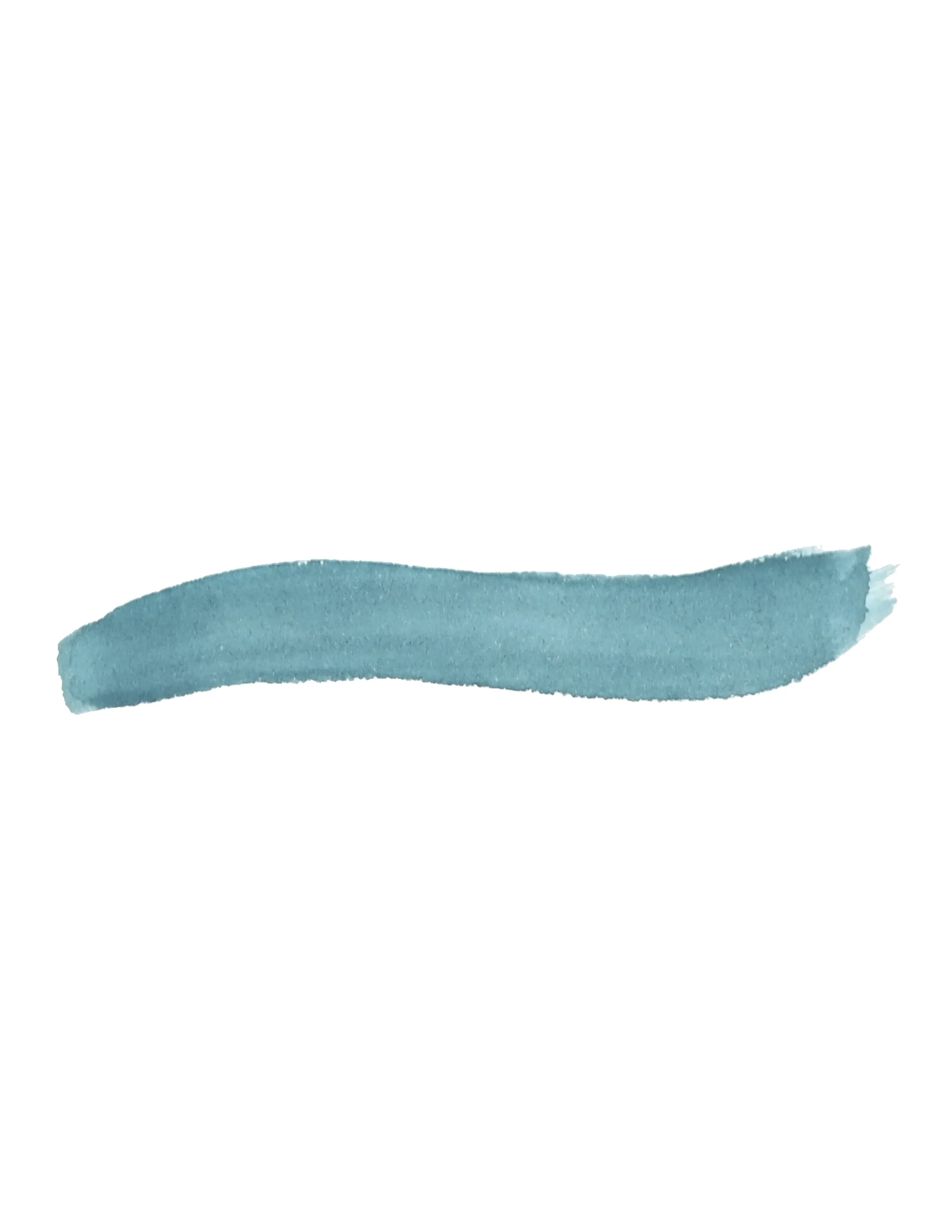 BlueSpruceSwoosh.jpg