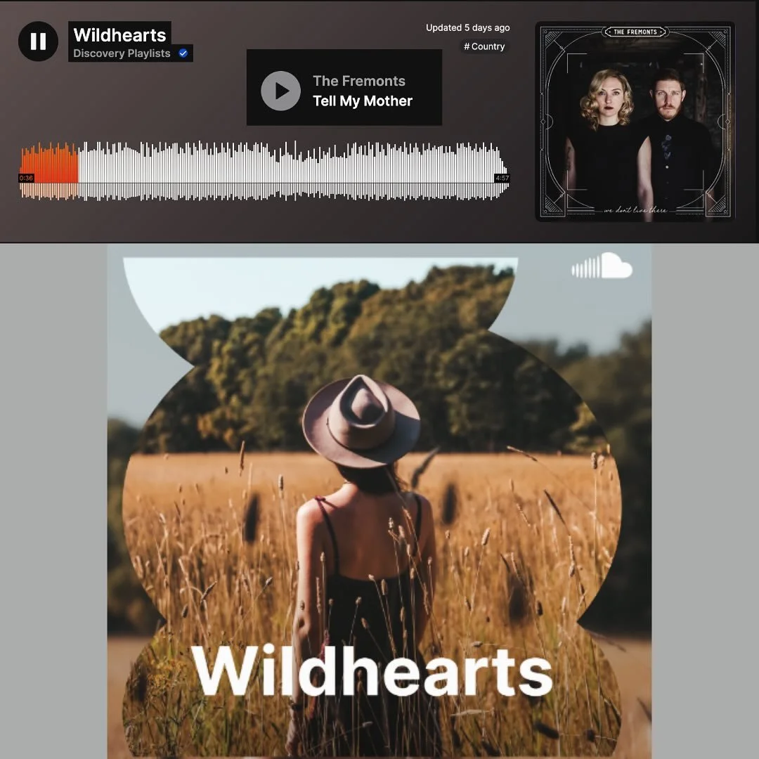 Hey country music fans! Our song Tell My Mother just got added to a &ldquo;carefree country music&rdquo; discovery playlist on SoundCloud! So fun and random. 🤠 

#countrymusic #folkmusic #americanamusic #newmusic