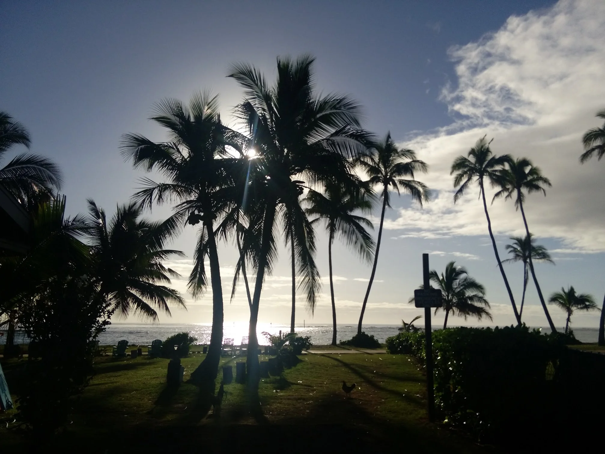 Taken by me - East Coast (Beach 2 minutes away from my Airbnb)
