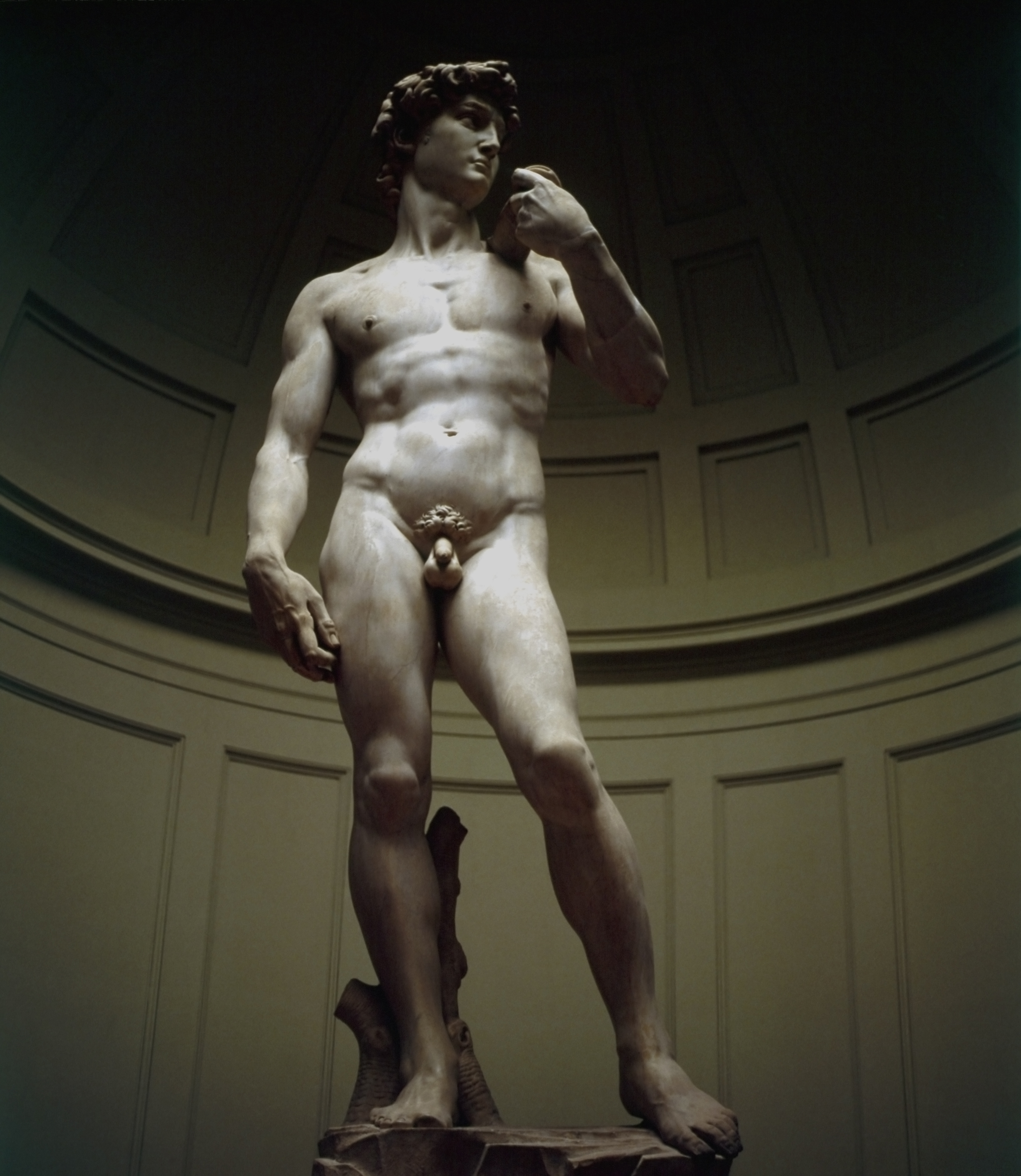 Photo by julof90/ Getty Images - Michelangelo's David 