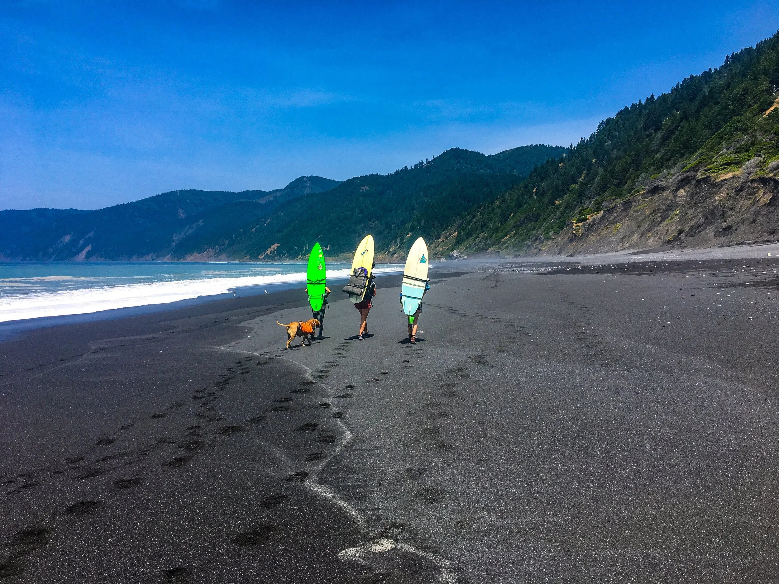3363A31B-589D-45BC-8B8B-E13BB951EDBD.jpeg