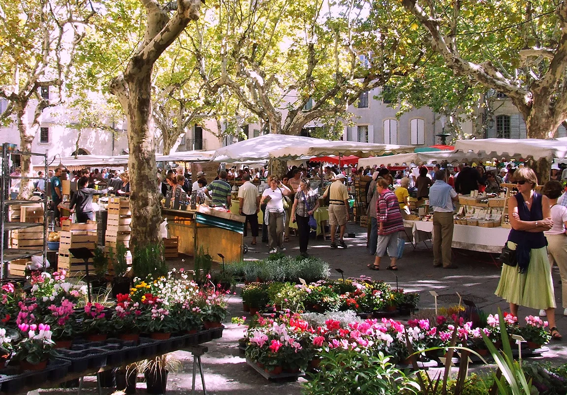 Fleurs_au_marché_d'Uzès2.jpg