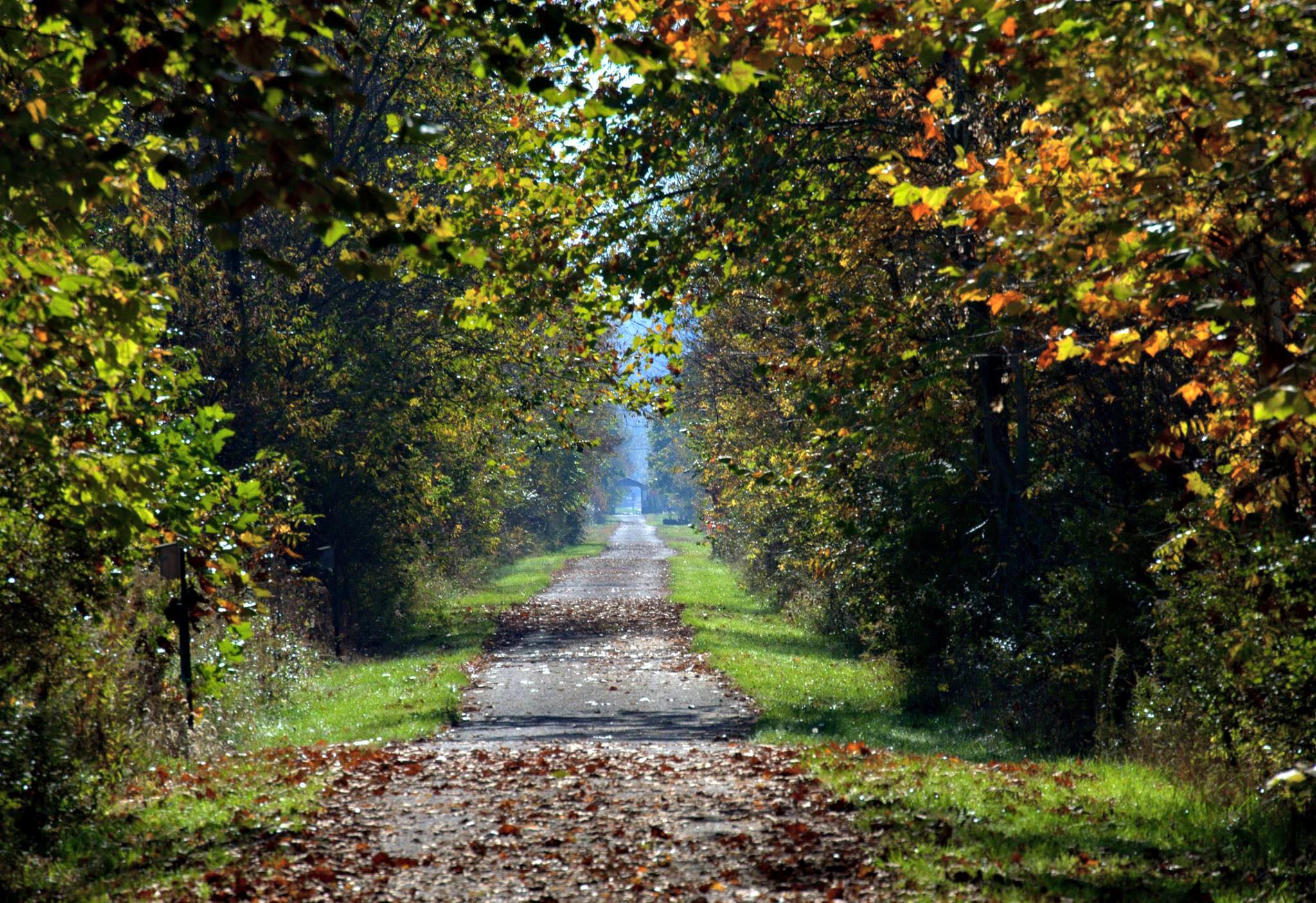 Conotton Creek Trail. (photo courtesy of Dee Ann Horstman)