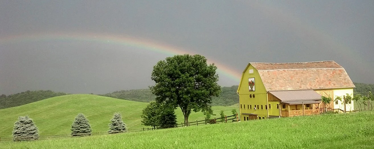Yellow Butterfly Winery