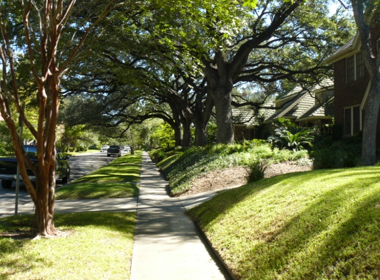 Maintaining the character of historic front yards creates cohesive and distinctive neighborhoods.