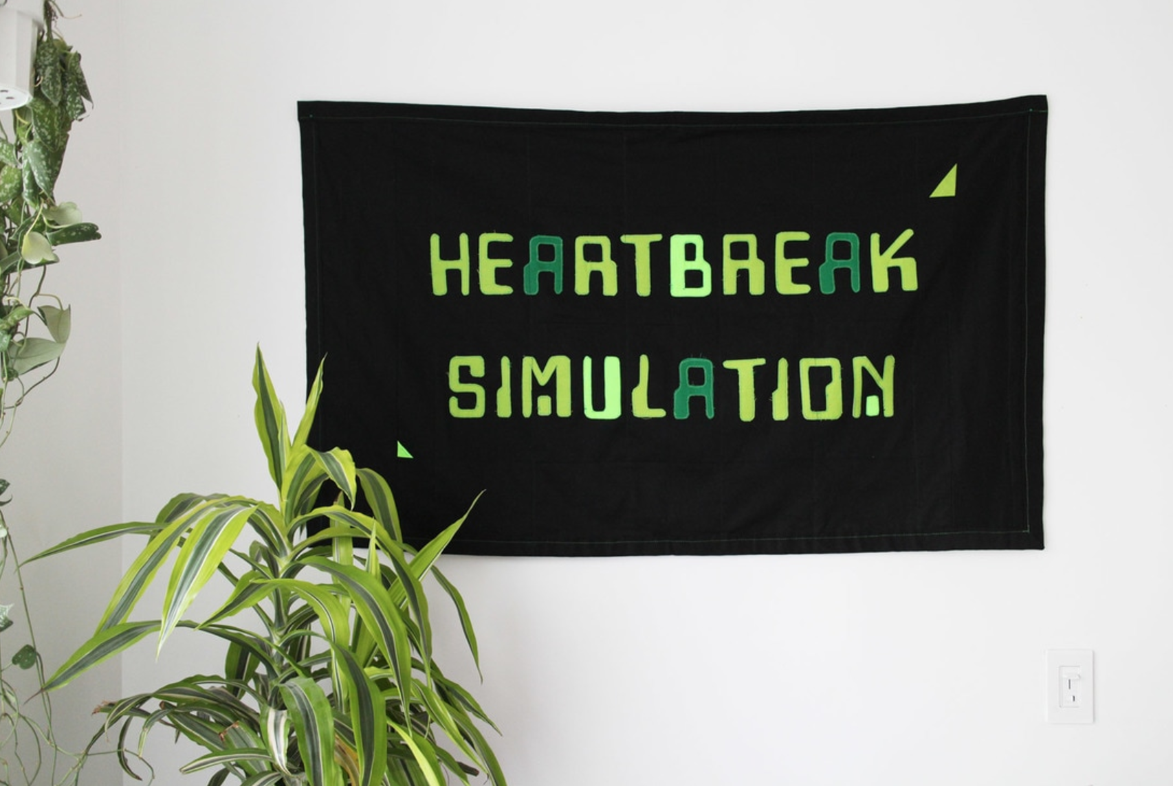 Joey Veltkamp, Heartbreak Simulation, 2017