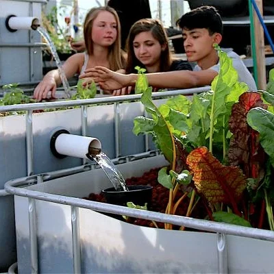 UA Community and School Garden Program