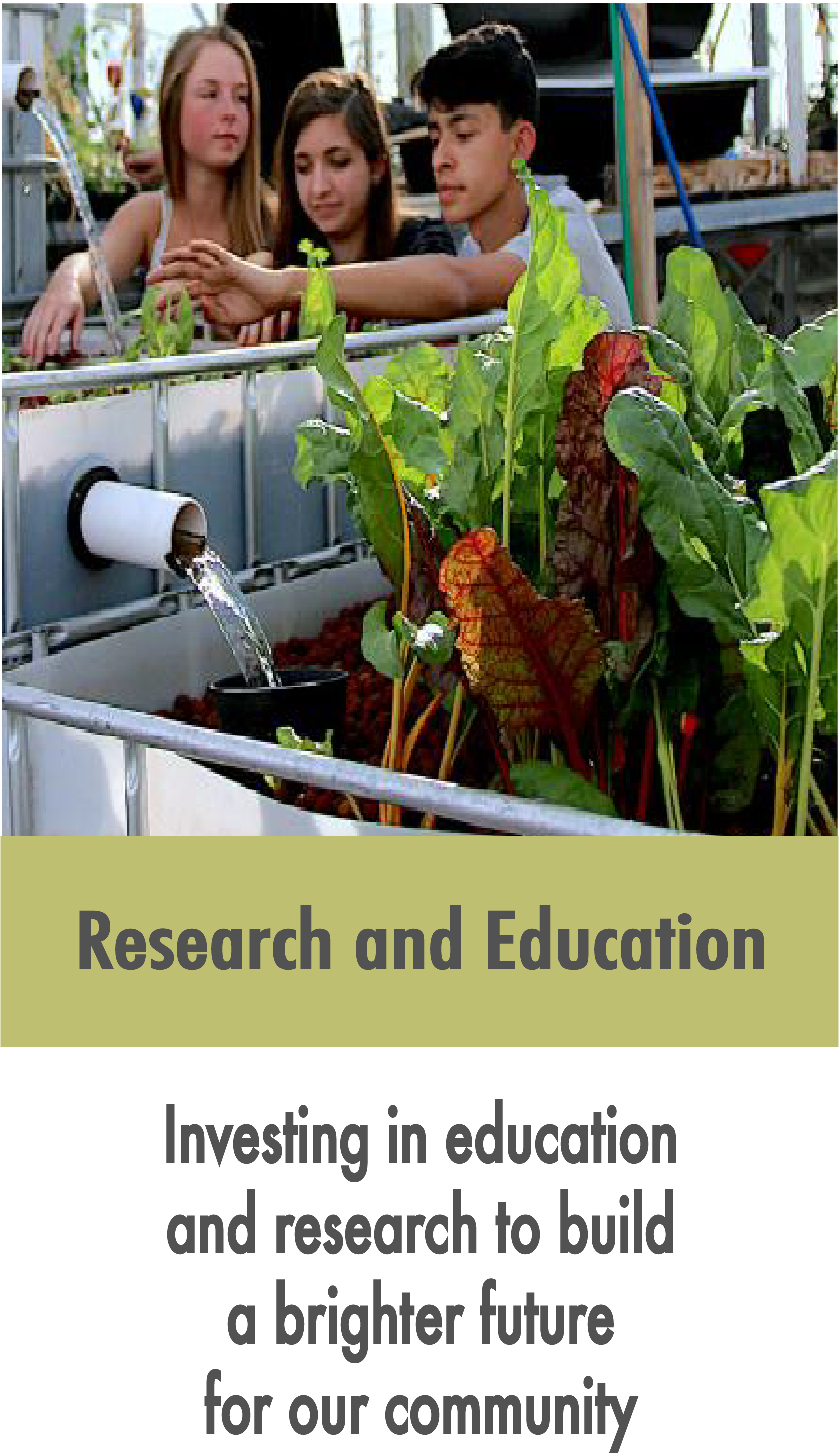 Research and Education 2.png