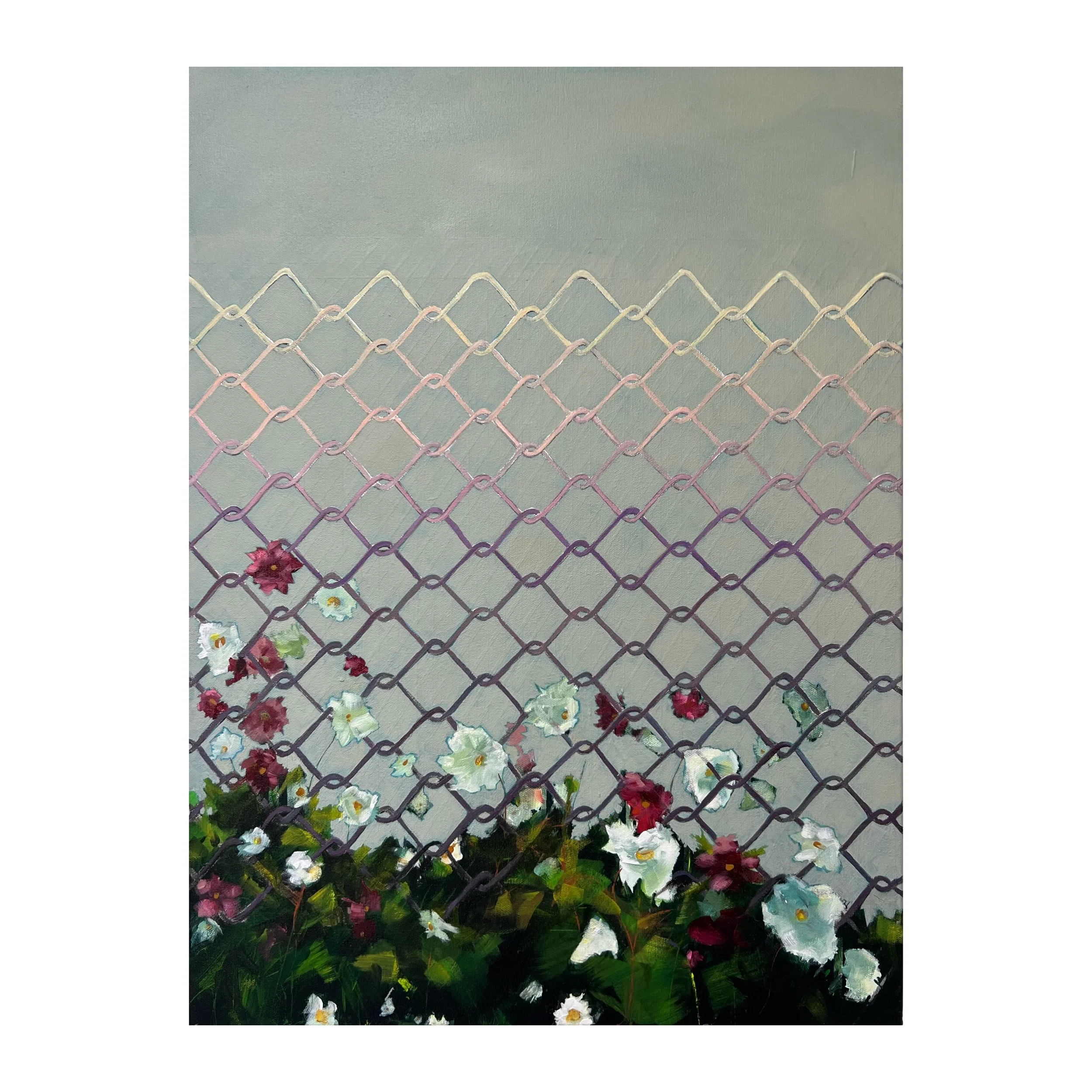 Whitagram-Image 5.jpeg