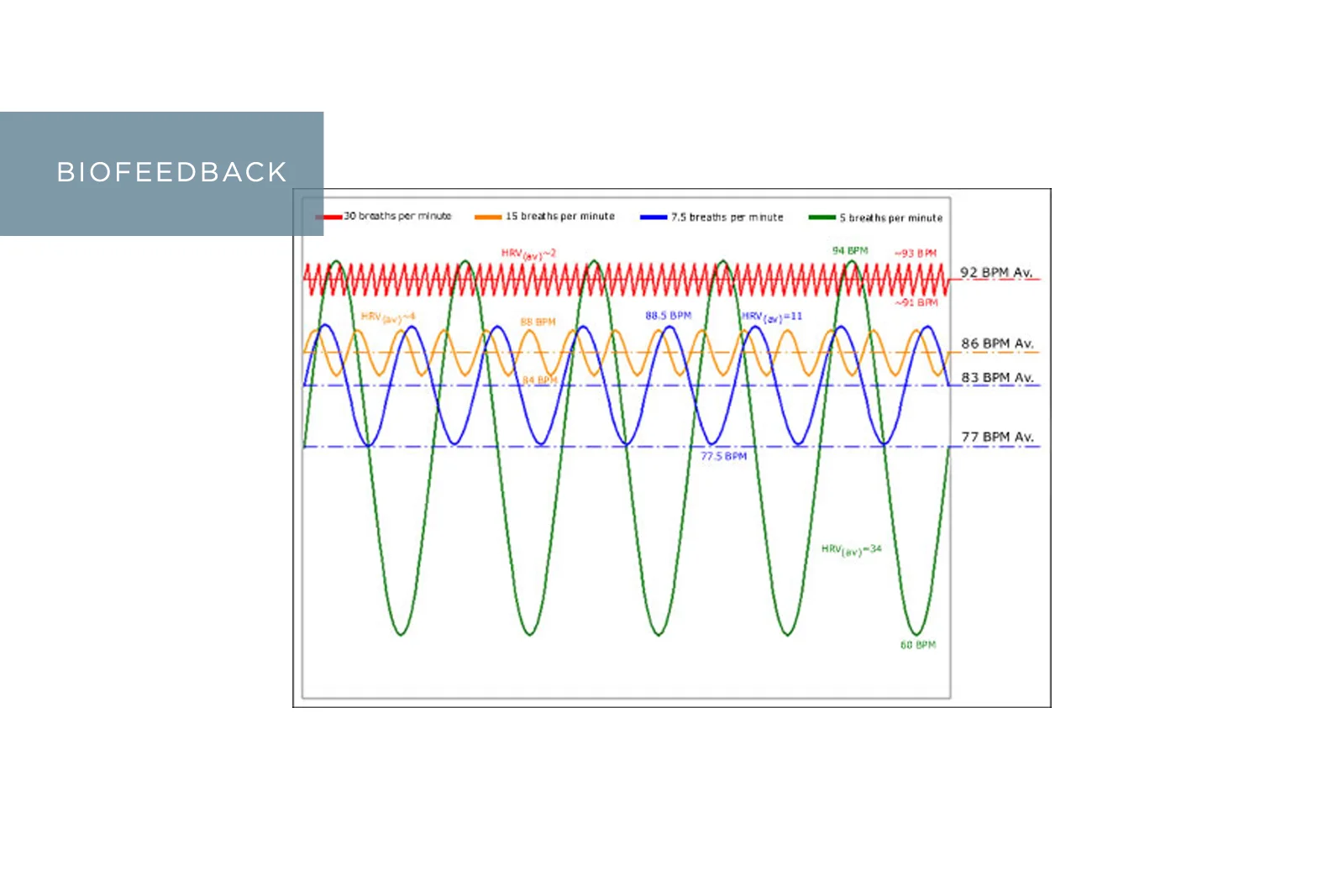 CE_Programs_Slideshow_Biofeedback.jpg
