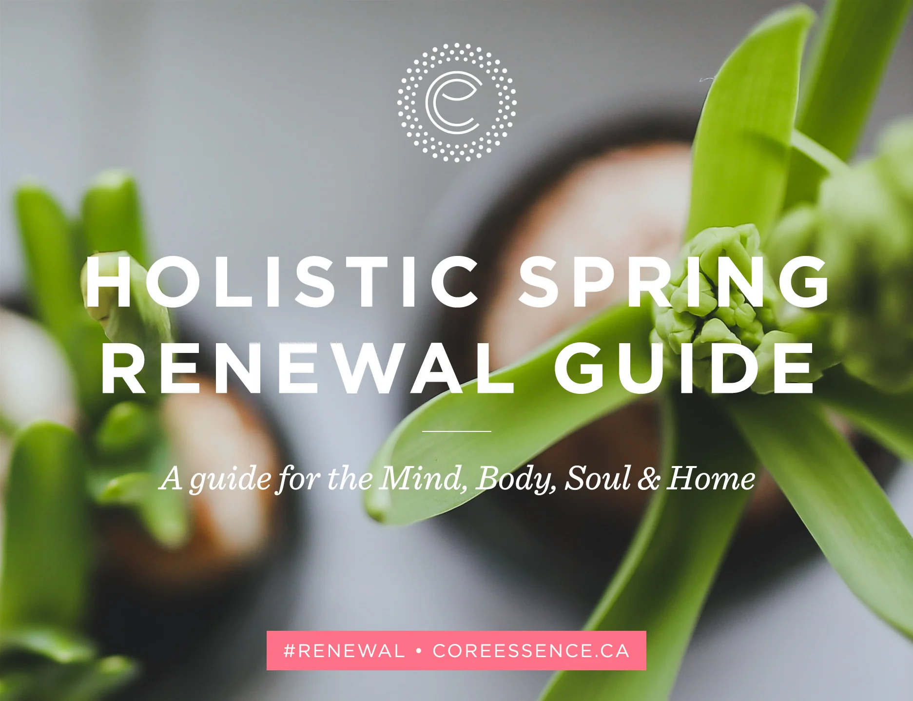 CE_SpringRenewalGuide_Blog.jpg
