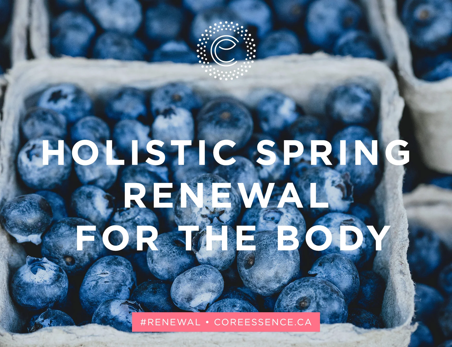 CE_SpringRenewalGuide_Body.jpg