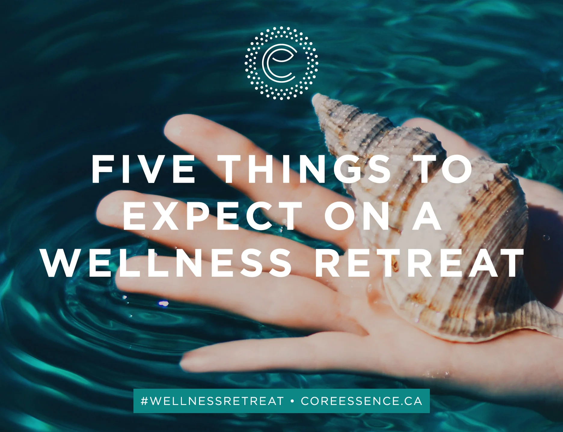 CE_5WellnessRetreat_Blog.jpg