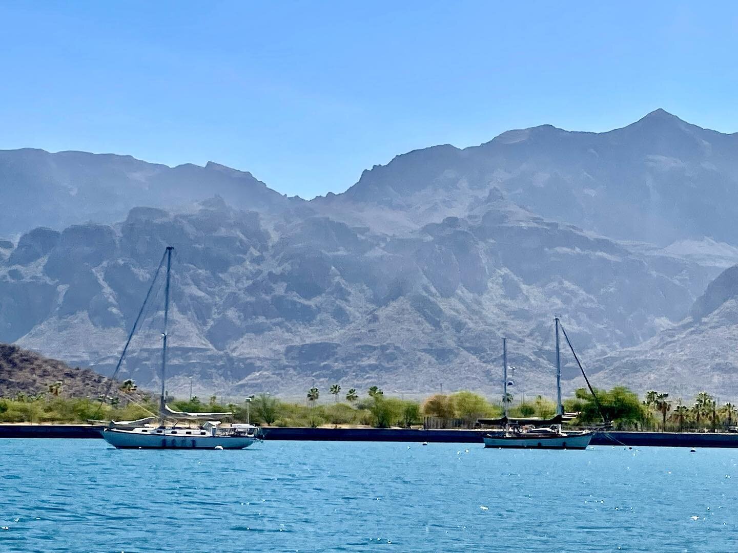 Beautiful Loreto Bay. Those mountains are so great, kind of like if Palm Desert was on the water.
.
.
.

#VisitBajaSur #LoretoBCS @visitbajasur @LoretoBCSTourism #bajasur #baja #seacreature #loreto #loretomexico #travelmexico #mexicotravels #travel #