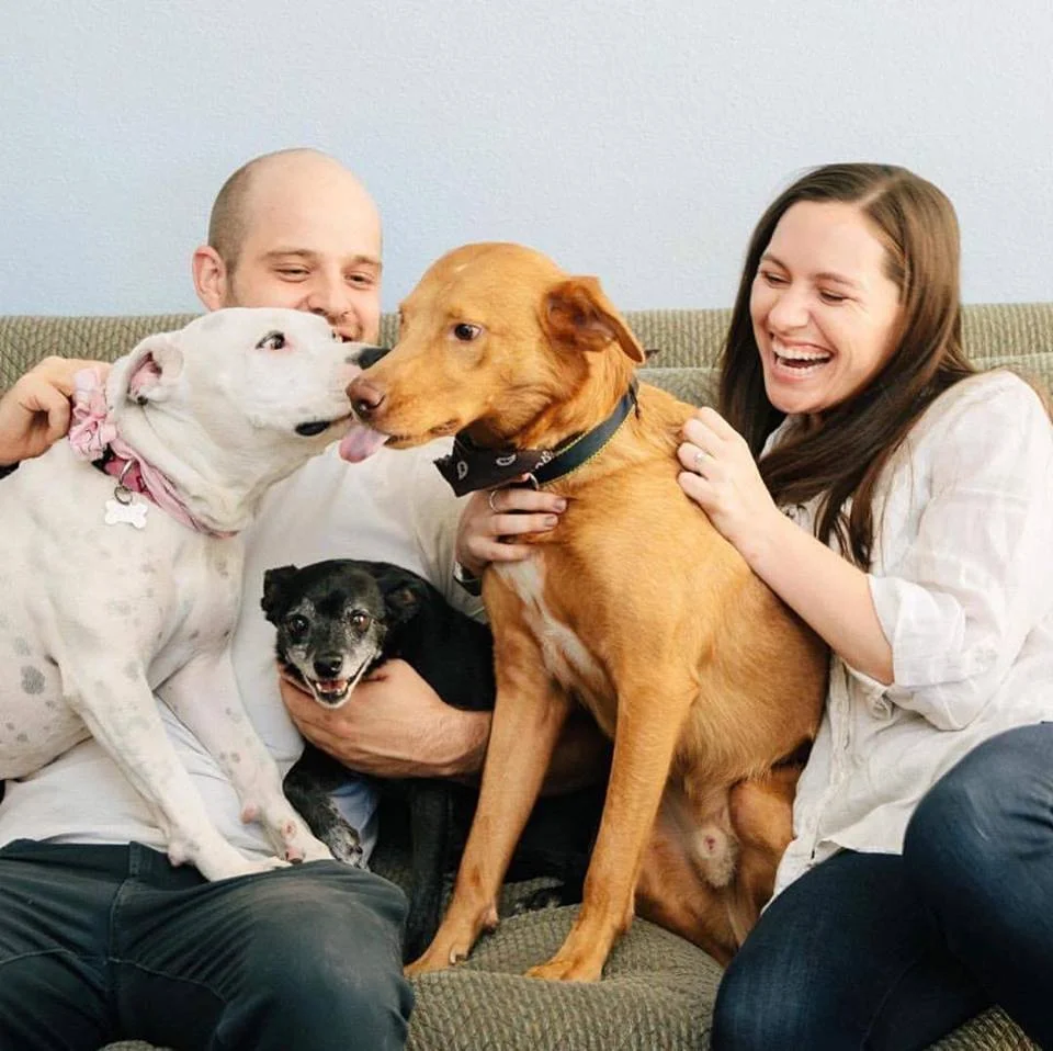 mutt scotts dog adopt california.jpg
