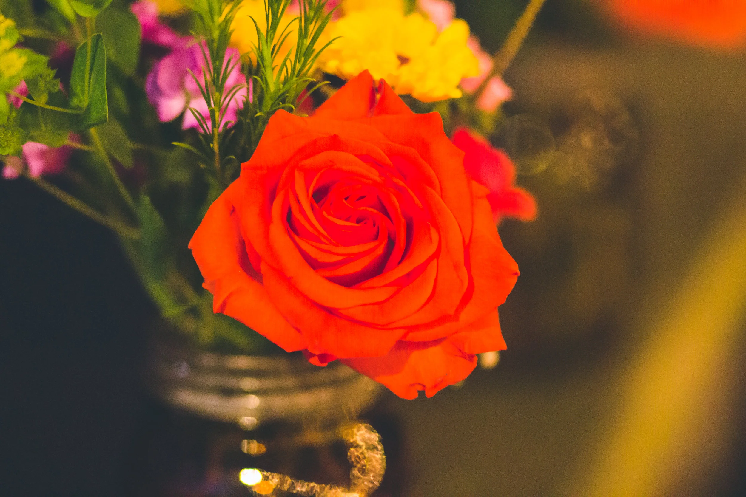 IMG_9454edit 1.jpg