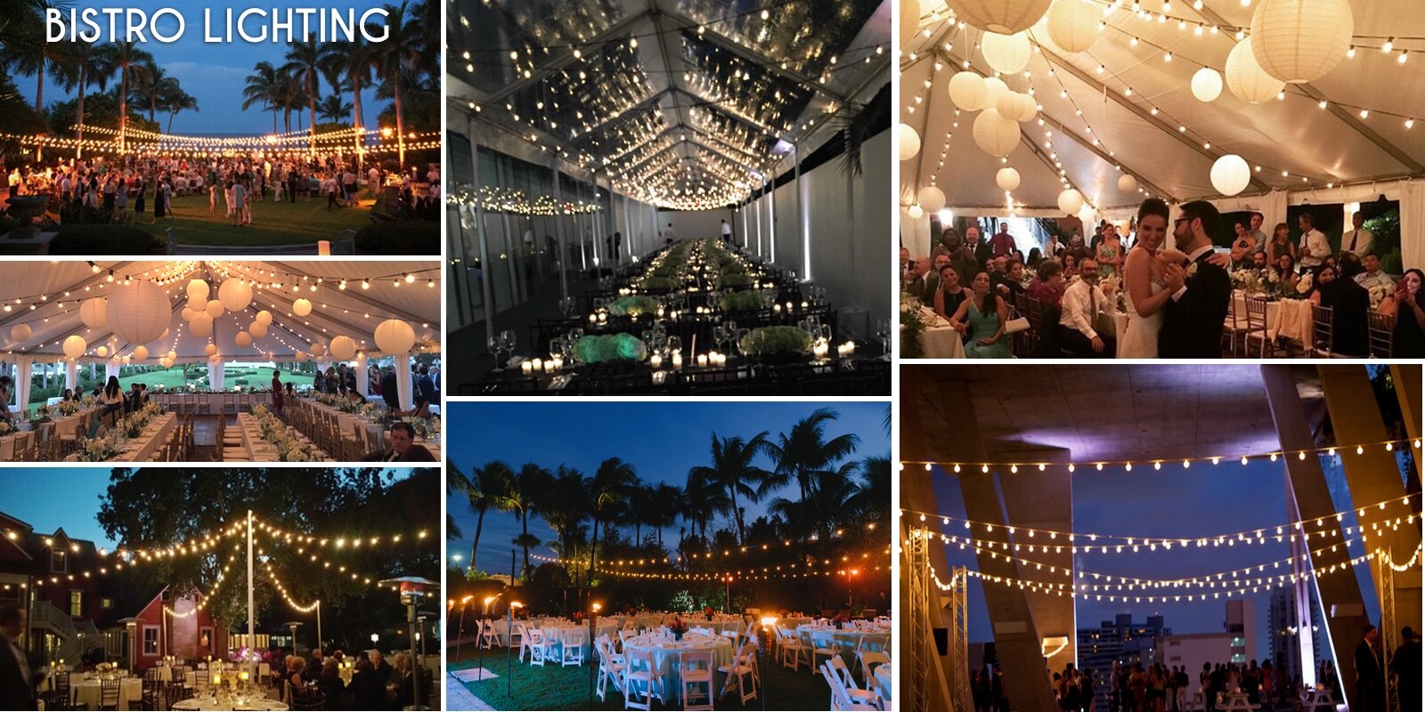 Wedding Email - BISTRO Lights.jpg