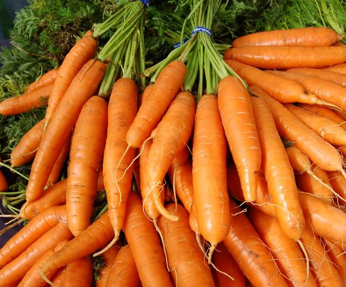 carrots.jpg
