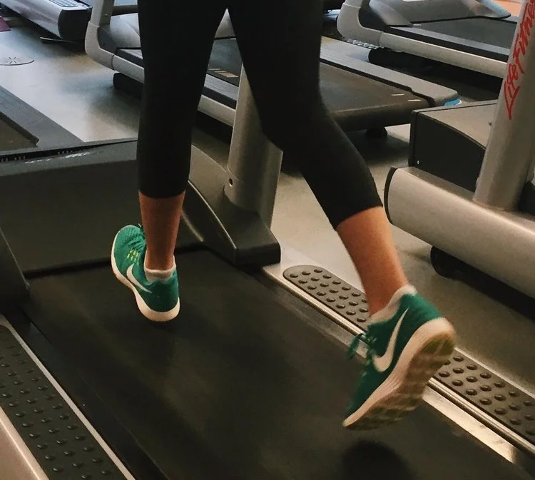 An SU Girl's Guide to Archbold Gym