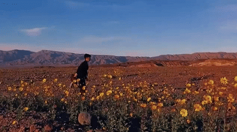 4.gif