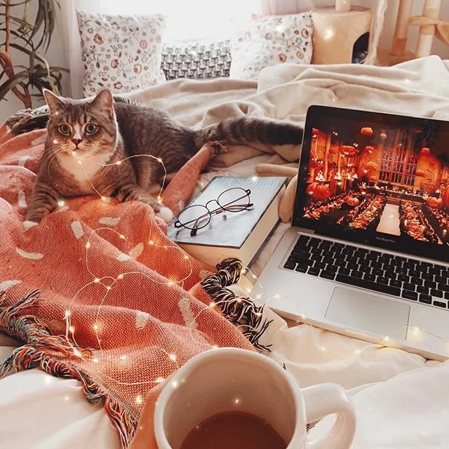 TV Shows We’re Binging Right Now