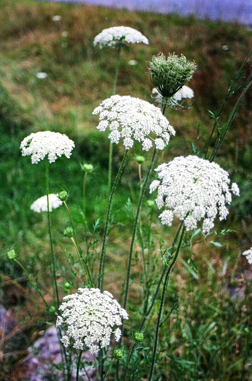 OLD FILM-02280029.jpg