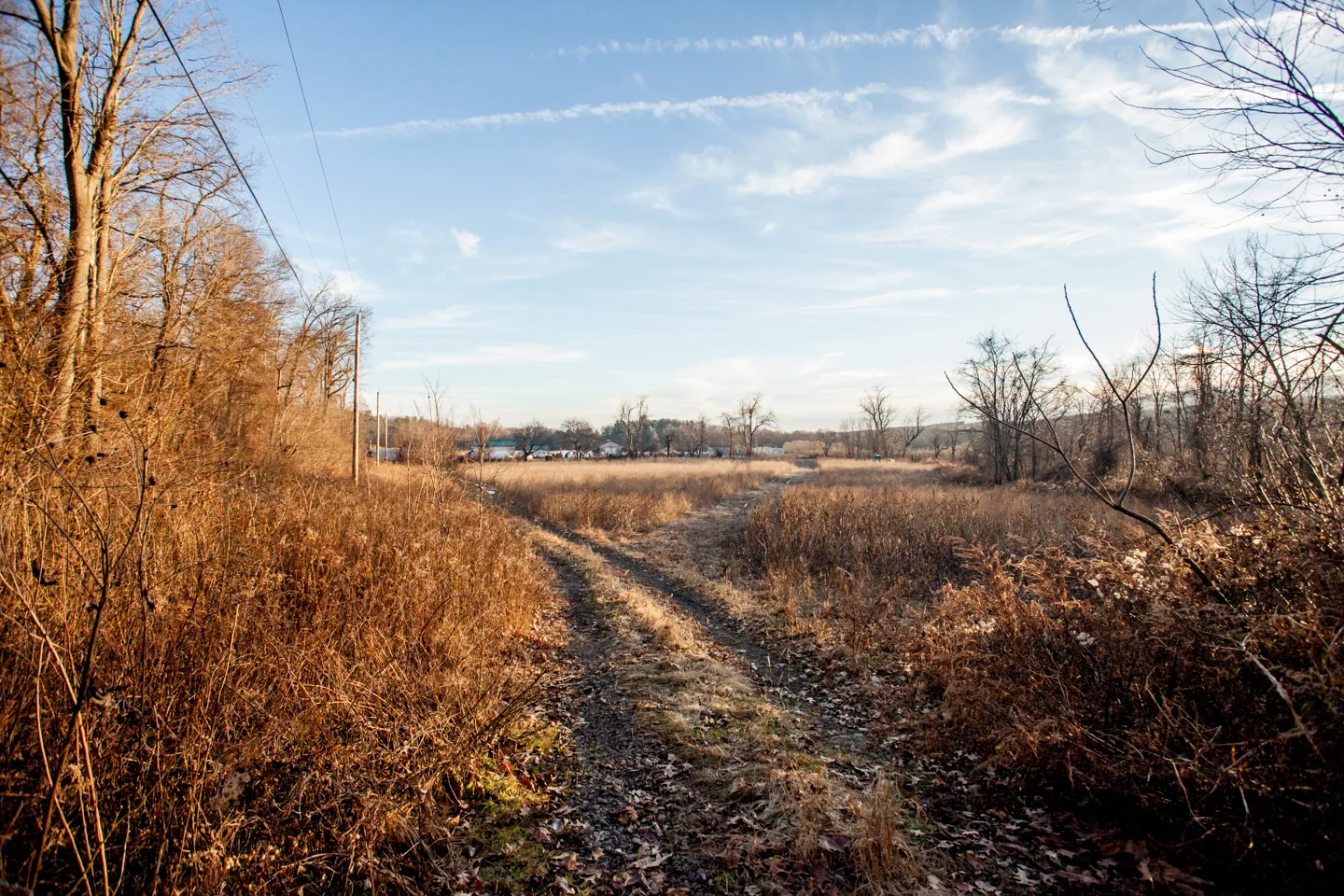 _MG_9897.jpg