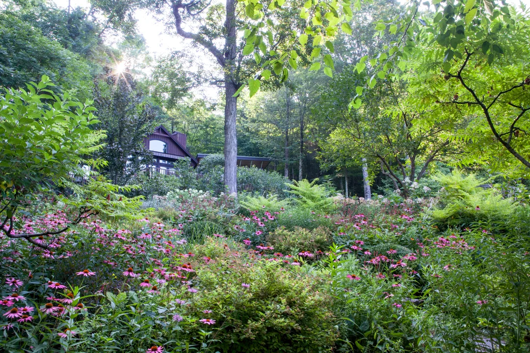 Ballentine_BHG-1.jpg