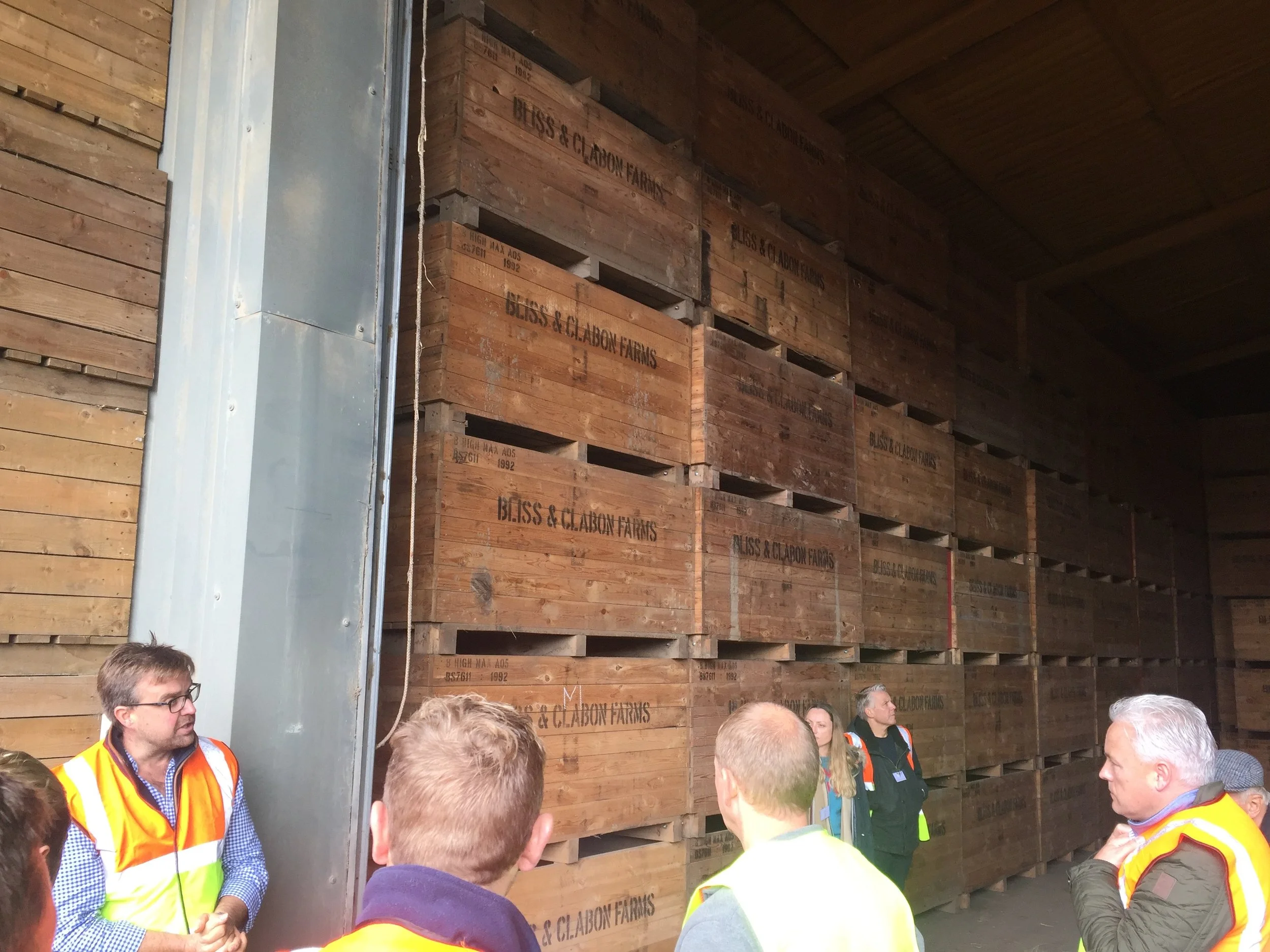 Climate controlled dry sheds prepare the potato crop for sorting and bagging.