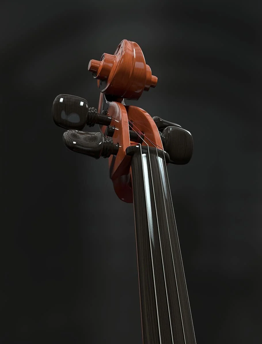 cello-strings-stringed-instrument-detail.jpg