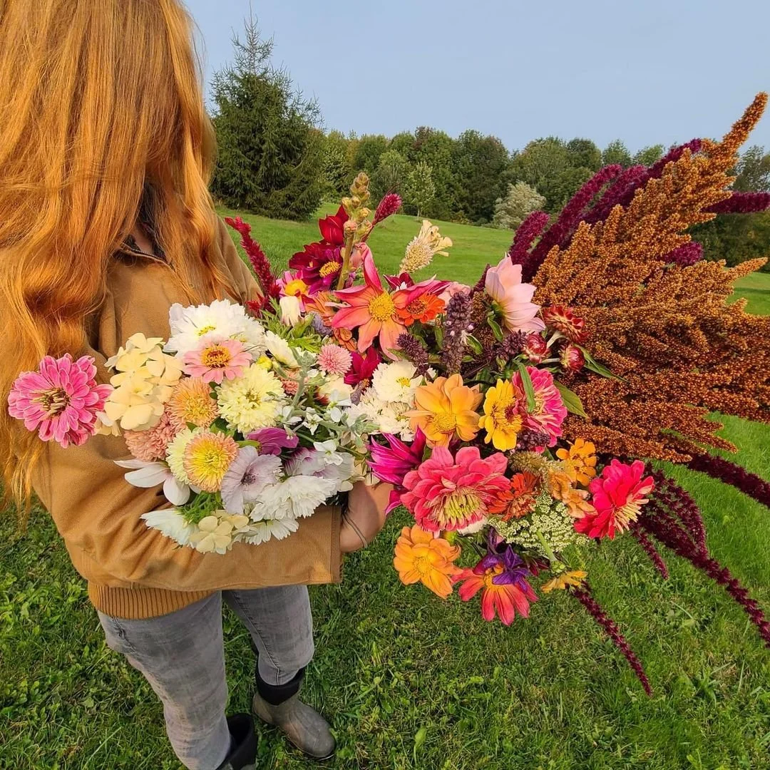 Bovina Farmers' Market 2022 Season begins this Thursday, May 26 from 4-7pm