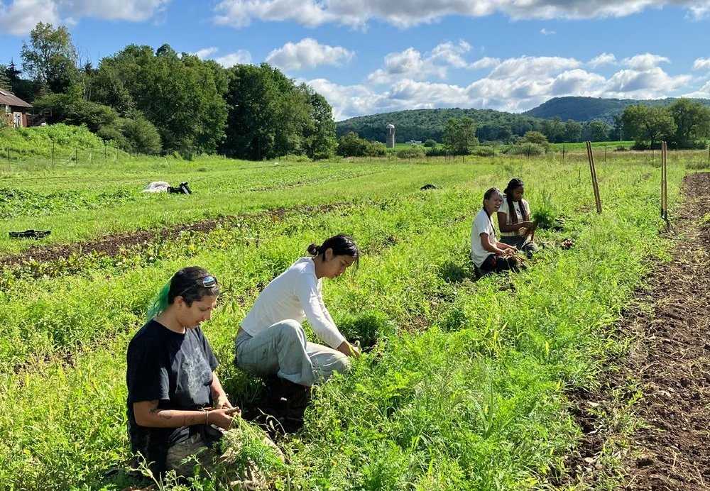 Catskills Agrarian Alliance - Community Grant Awardee
