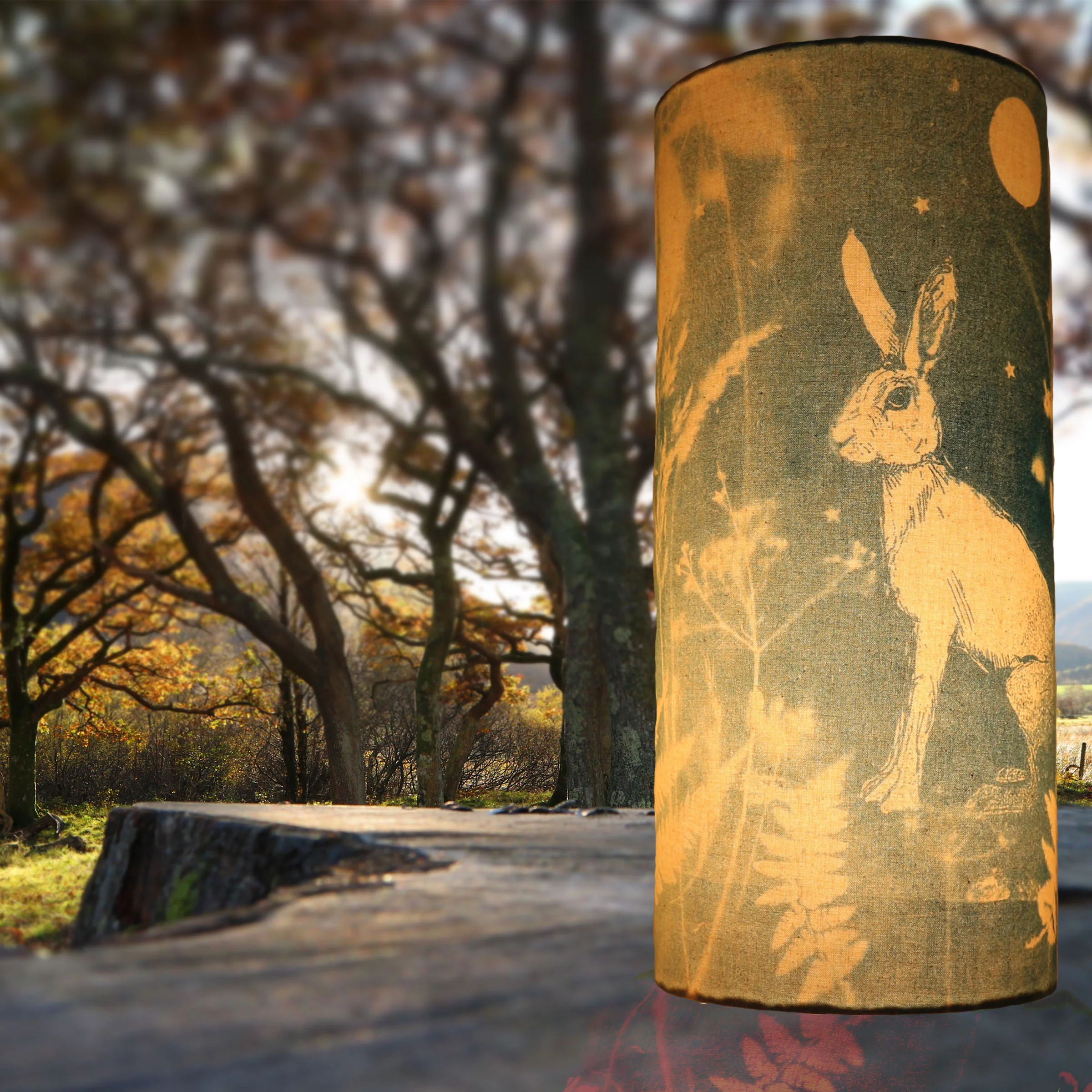 imagining my lamp in the wild for #libertyopencall 